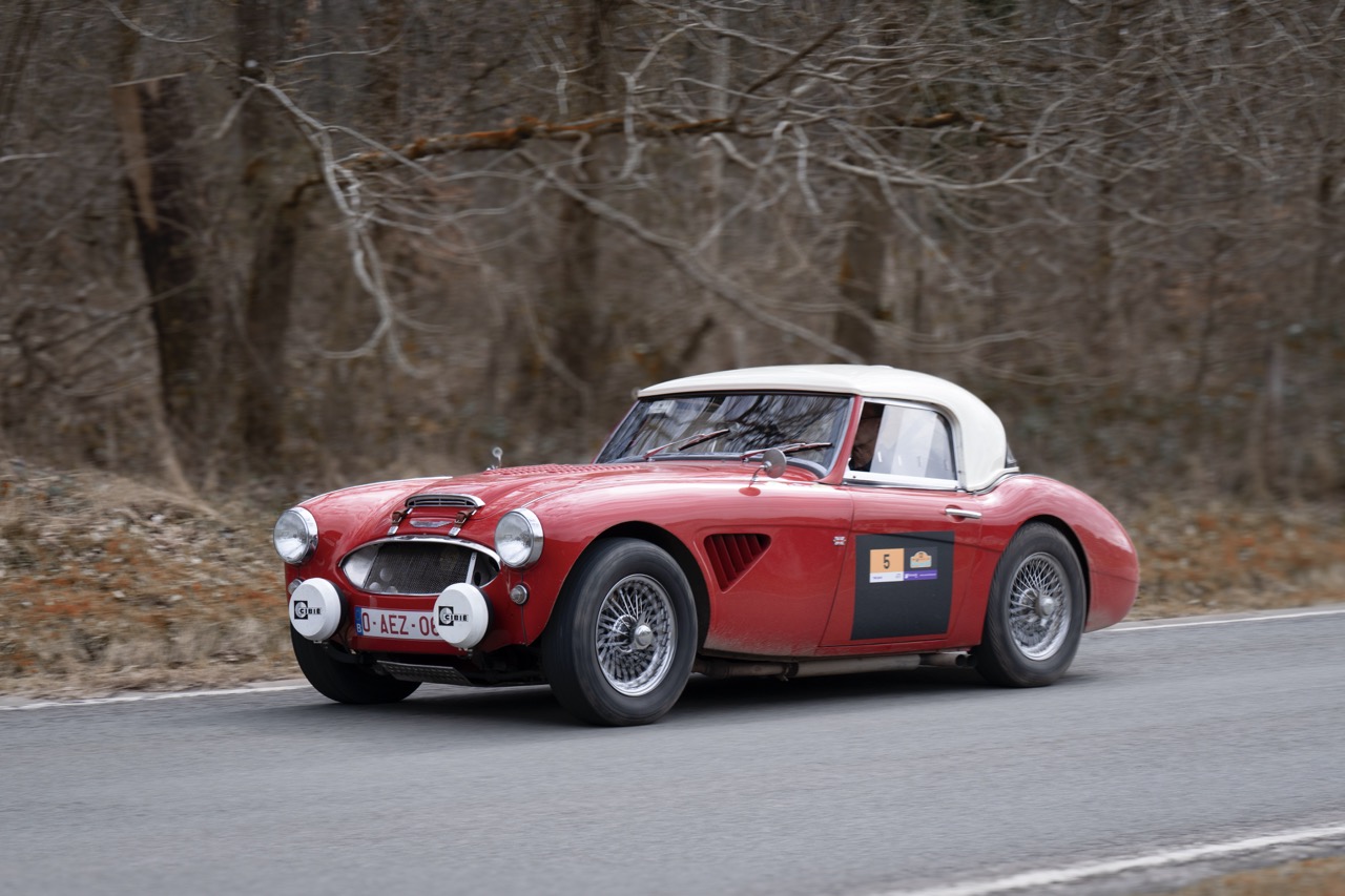 22032025-_DSC2824-Modifier copie - Grande