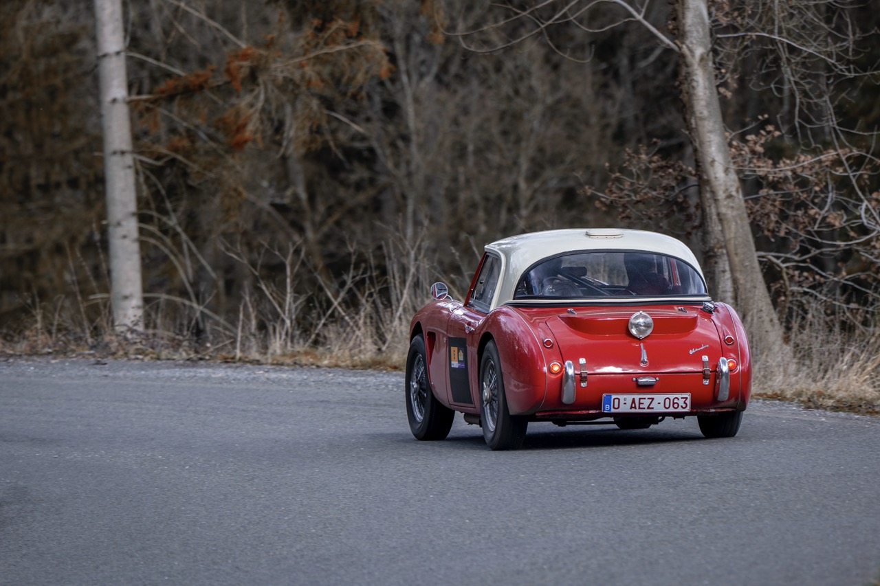 22032025-_DSC2849-Modifier copie - Grande